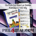 What Is Kamagra Jelly 100Mg 11